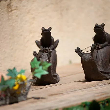 Bachome Terrace Bed & Breakfast Barcellona