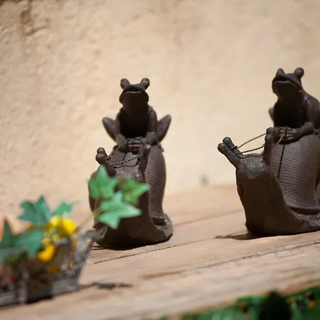 Bachome Terrace Oda ve Kahvaltı Barselona